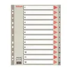 Esselte pregradni karton 1-12 A4 PP, siv (10)