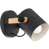 Eglo Zidna lampa-Hornwood 43046