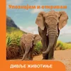 Upoznajem i otkrivam: Divlje životinje