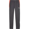 Puma Hlače IndividualLIGA Training Pants Kids