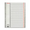Esselte Maxi 1 - 31, 31 listov