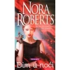 Dim u noći
