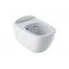 Konzolna WC šolja Citterio Remfree 500.510.01.1