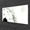 tulup.si Slika na akrilnem steklu Dandelion rastlin 100x50 cm 2 obešalnika