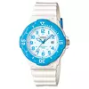 Casio Ura moška Casio COLLECTION Bela (O 34 mm)