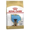 ROYAL CANIN Hrana za pse rase Nemački ovčar Junior 12kg