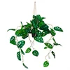 MID.YOU Umetna Rastlina Monstera Climb
