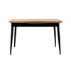 Hanah Home Trpezarijski sto na razvlačenje Ay-1184, 120-150 cm, Smeđi