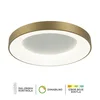 LED plafonska lampa F2049-86C SGA