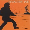 Lee Scratch Perry & The Upsetters - Revolution Dub (180 g) (Limited Edition) (Orange Coloured) (LP)