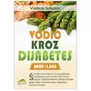 Vodič kroz dijabetes Vladimir Sokolov