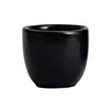 Aoomi Luna Mug 05 170 ml