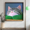 WallXpert uramljena MDF slika DOS069-50, siva mačka umotana u zeleni šal, 50 x 50 cm