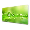 tulup.si Slika na akrilnem steklu Rastlina leaf dew drops 100x50 cm 4 obešalnika