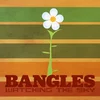 The Bangles - Watching The Sky - The Bangles Box Set (4 CD)