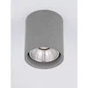 RITZ STROPNA SVJETILJKA SIVA LED 10 Watt 220-240Volt 1044lm 3000K IP65
