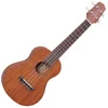Takamine GUS1 Natural Soprano ukulele (Kot novo)