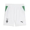 PUMA Borussia Mönchengladbach 26/27 Shorts Youth, Shop, White/Archive Green, 5-6Y