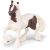 shumee Irski cob žrebec