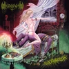 Sexmag - Sexorcyzm (Special Edition) (LP)