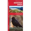Sweden Birds