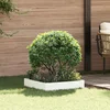 vidaXL Robovi trave 60 x 60 x 20 cm Jeklo Bela