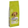 Dog Chow Adult Jagnjetina, 14 kg