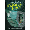 Famous Five: Five Fall Into Adventure