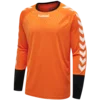 Hummel Dres z dolgimi rokavi ESSENTIAL GK JERSEY