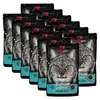 Alpha Spirit Cat Sea Bream Mousse 12 x 85 g