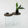 HANAH HOME Set stolova Serenity 2 Transparent Walnut