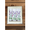 Kuhinjske krpe SECRET GARDEN, 3 kosi Bela Set (3 kos, 40x60 cm)
