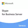 Skype for Business Server Enterprise 2019 Device CAL