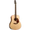 Seagull Maritime SWS Semi-Gloss + Quantum I Electronics akustična gitara