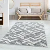 CONCEPTUM HYPNOSE Tepih (200x290) Pisa 4705 Grey
