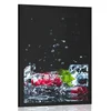 Plakat sadne ledene kocke - 40x60 silver