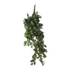 Dekordom 1074947 Cvet syngonium 54cm - green - edl ( 040438 )