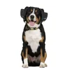 BOLLSEN Glušniki za pse Dog+, M