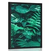 Plakat sveži tropski listi - 40x60 no frame