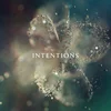 DJ Anna - Intentions (2 LP)