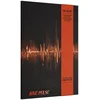 Treasure - Love Pulse - Rockchick Version (CD)