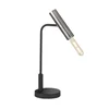 Fischer & Honsel 50214 - Stona lampa DEAN 1xE27/25W/230V