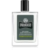 Proraso Cypress & Vetyver vlažilni balzam za po britju hranilna tekstura 100 ml