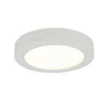 GLOBO 41605-18 - LED plafonsko svetlo za kupatilo PAULA LED/18W/230V IP44