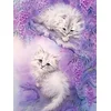 shumee Diamantno vezenje Dve beli mački 35x45 cm