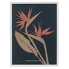 Picture frame Oscar 30x40cm white SDP ( 4912370 )
