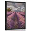 Plakat dežela polja sivke - 60x90 black