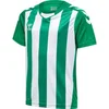 otroški dres hmlCORE XK STRIPED