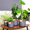 Bakarna traka za zaštitu od puževa 6 pcs Bakar 70 mm x 20 m