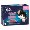 Multi pakiranje Felix Junior Fantastic So gut wie es aussieht 24x85 g - Piščanec, govedina, losos, sardina